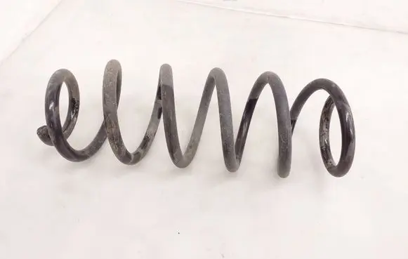 Rear coil spring