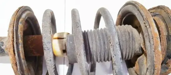 Front coil spring