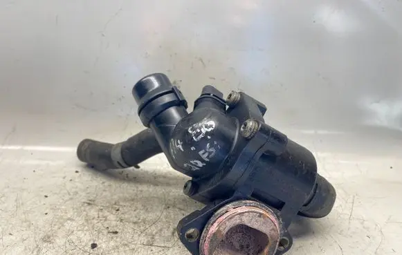 Thermostat/thermostat housing