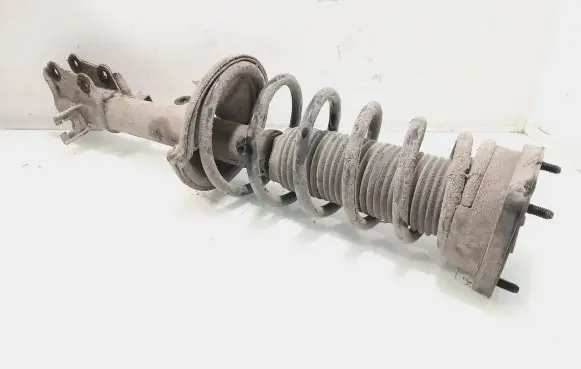 Hyundai Elantra Rear shock absorber with coil spring 