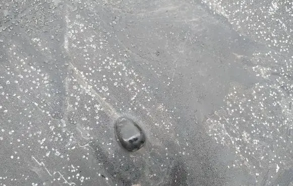 Nissan X-Trail T30 Windshield washer spray nozzle 