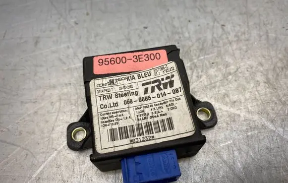 KIA Sorento Other control units/modules 956003E300