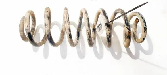 Rear coil spring