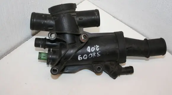 Thermostat/thermostat housing
