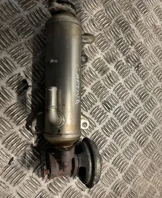 Chevrolet Captiva EGR valve cooler