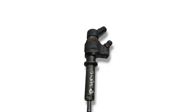 Peugeot 406 Fuel injector 9636819380