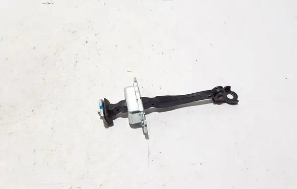 Renault Koleos II Front door check strap stopper 804304684R
