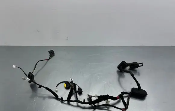 Hyundai Santa Fe Front door wiring loom 91610W560