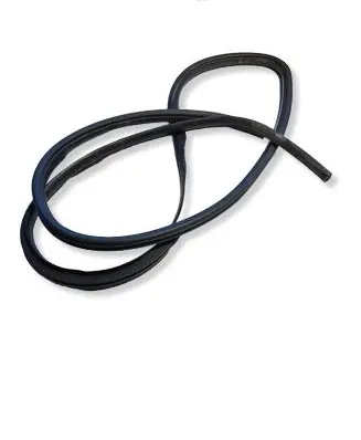 Dodge RAM 1500 DS Front door rubber seal 
