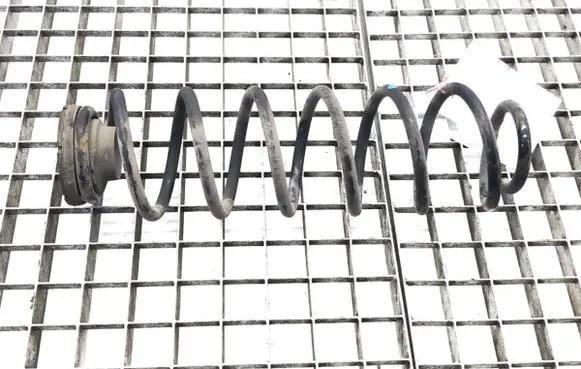 Rear coil spring