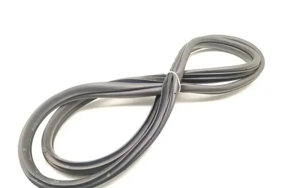 KIA Niro Rubber seal front door (on door) 