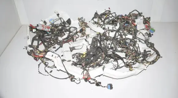 BMW X7 G07 Other wiring loom 22042981