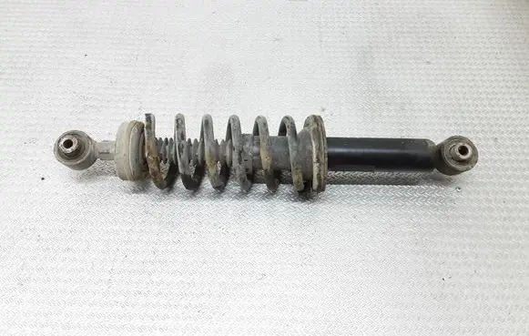 Peugeot 407 Rear shock absorber with coil spring 