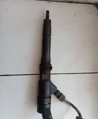Peugeot Boxer Fuel injector 0445110248