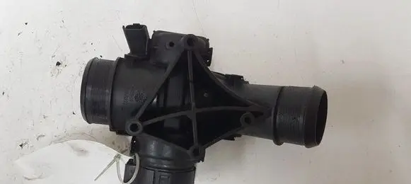 Citroen Berlingo Throttle valve 25365223