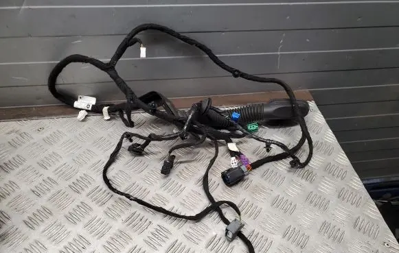 Chrysler Pacifica Front door wiring loom P68228628AF Z52351012