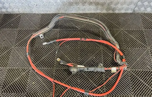 BMW X1 E84 Positive cable (battery) 9207514 9260955