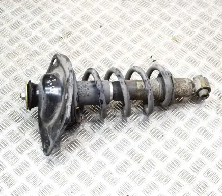 Chevrolet Camaro Rear shock absorber/damper 92195466 92195484