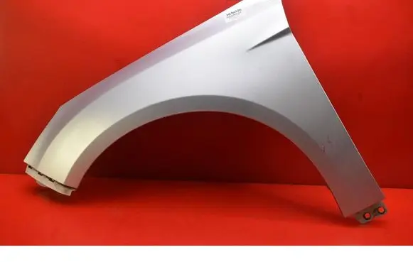 Ford Focus Fender