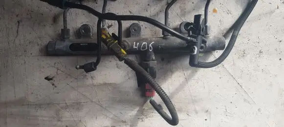 Peugeot 406 Fuel main line pipe 0445214019