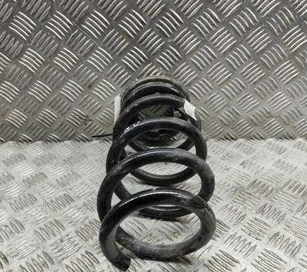 Tesla Model Y Rear coil spring 118847900A
