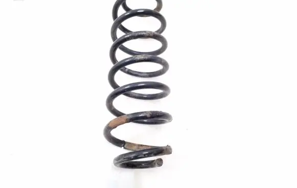 Volkswagen PASSAT B6 Rear coil spring