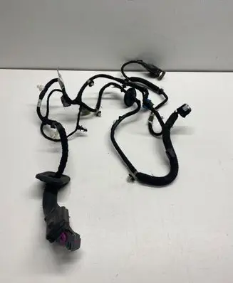 Opel Ampera Rear door wiring loom 22759122 96862428