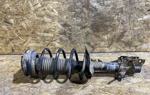 Nissan Qashqai Front shock absorber with coil spring 54303JD01A 824903002934