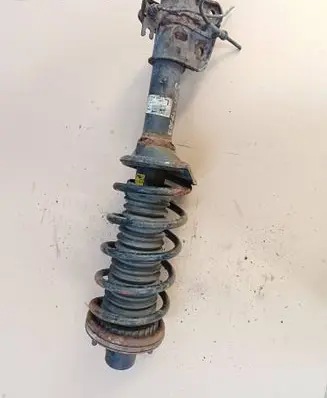 Land Rover Freelander Rear shock absorber with coil spring 22103901