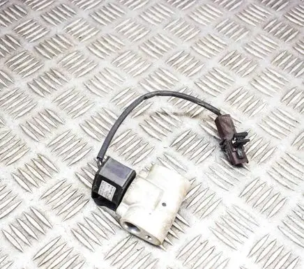 Renault Zoe Air conditioning (A/C) expansion valve 924876913R 4433101171