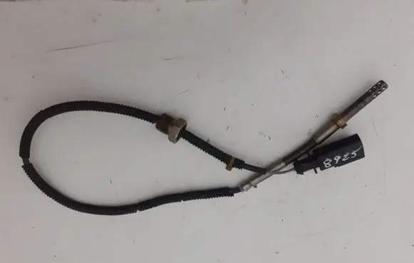 Exhaust gas temperature sensor