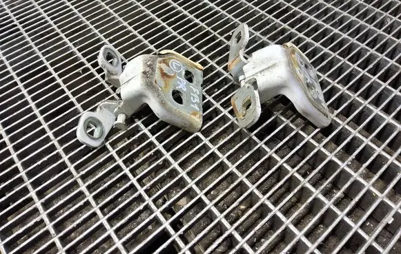 Dacia Sandero Front door hinge set 