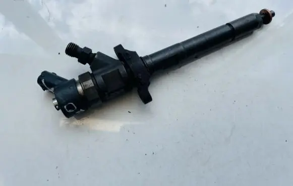 Citroen C4 I Fuel injector 0445110259