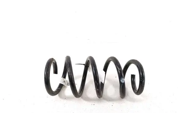 Rear coil spring