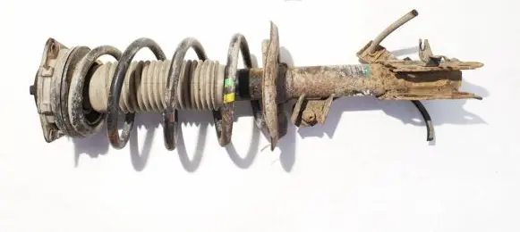 Nissan Qashqai Front shock absorber/damper 54302jd01a