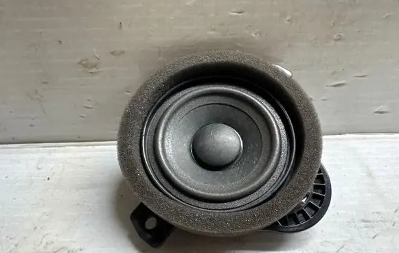 Front door speaker