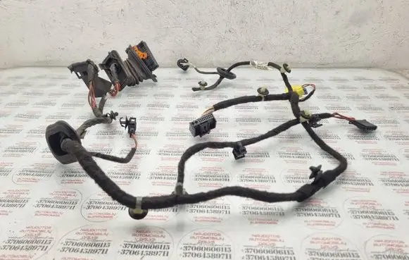 Volkswagen PASSAT B7 Front door wiring loom 3AC971121R
