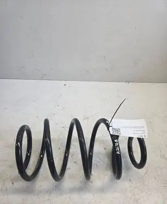 Front coil spring