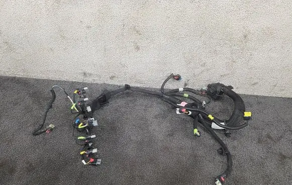 Tesla Model Y Other wiring loom 206876700C