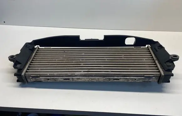 Renault Trafic II (X83) Intercooler radiator 988650B 93854162
