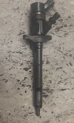 Citroen C4 I Picasso Fuel injector