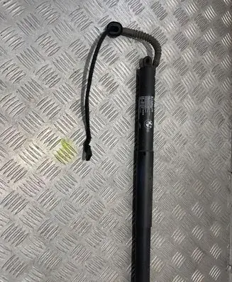 Tailgate strut