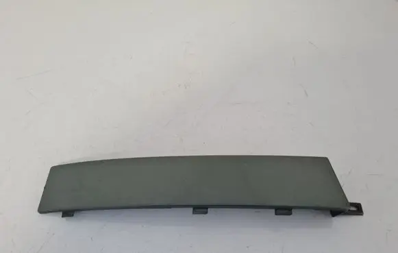 Rear/tail light trim molding