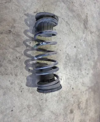Rear coil spring
