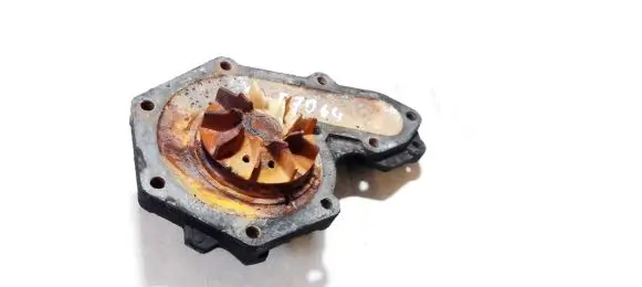 Renault Express Water pump 7700599052