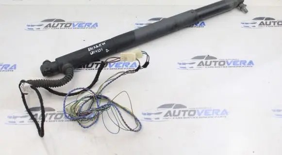 BMW X6 E71 Tailgate/trunk strut/damper 7286118