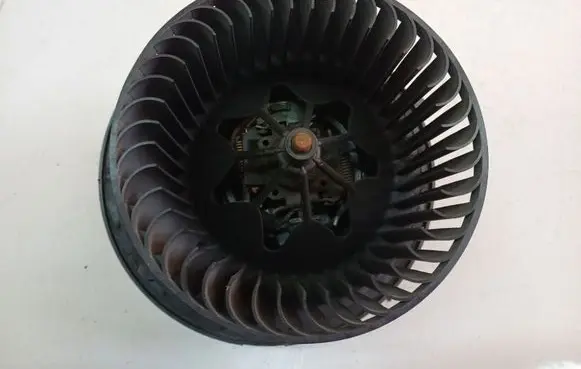 Mercedes-Benz A W169 Heater fan/blower 10029150