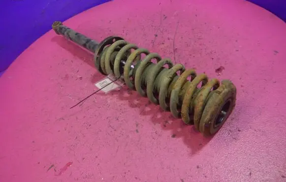 Volkswagen PASSAT B4 Rear shock absorber with coil spring 