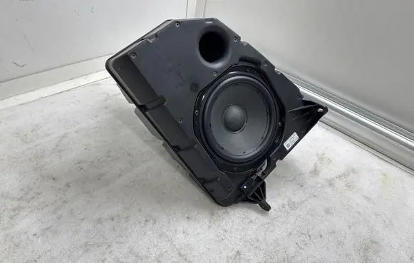 Tesla Model Y Subwoofer speaker 165626700B 166684100B 11593002