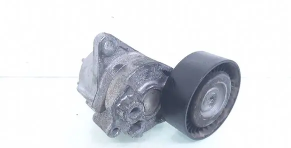 Mercedes-Benz C W203 Alternator belt tensioner 950151
